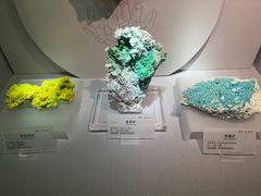 -湖南省地质博物馆