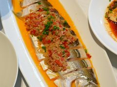 -绿杨春·淮扬宴(庐山路店)