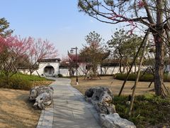 -上海滨江森林公园