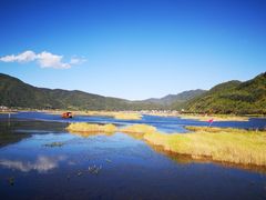 -腾冲北海湿地