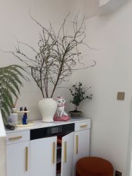 -WENDY·温迪皮肤管理