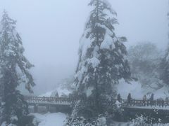 -瓦屋山景区