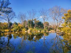 -崇圣寺三塔文化旅游区