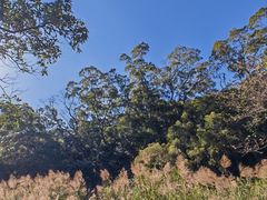 -梧桐山风景名胜区