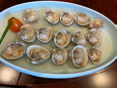 原汁渤海湾白蚬子-喜鼎海胆水饺(东港店)