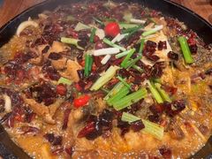 -老板恋上鱼(高新万达店)