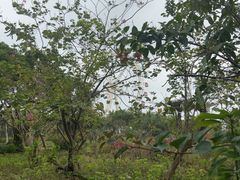 -白沙门生态公园