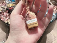 -Laderach 莱德拉(上海环贸iapm店)