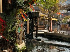 -姚记抚仙湖石锅鱼庄