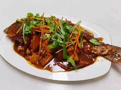 -福孕妈妈家政•月嫂育儿嫂保姆