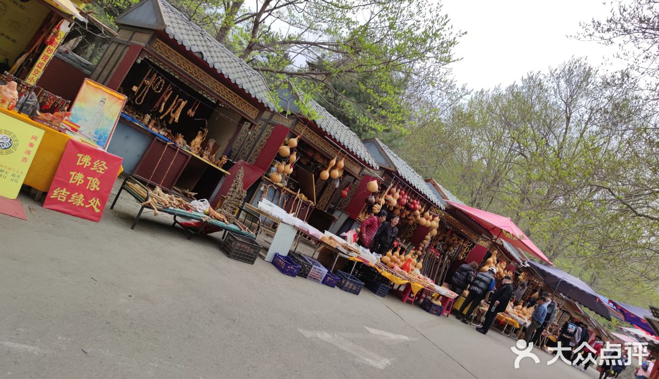 60岁以上的叔叔阿姨免票，我是在大众点评上预约的