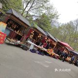 60岁以上的叔叔阿姨免票，我是在大众点评上预约的