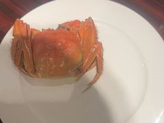 -广州万富希尔顿酒店·感趣自助餐厅·金秋蟹宴生蚝海鲜刺身