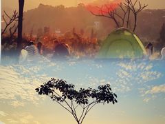 -白石龙音乐公园