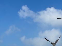 -海驴岛(荣成市)