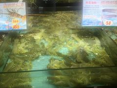 -渔民新村(番禺总店)