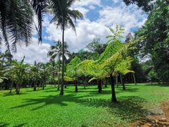 -中国科学院西双版纳热带植物园