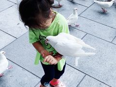 -烟台海昌鲸鲨海洋公园