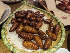 -鸽子窝(青塔店)
