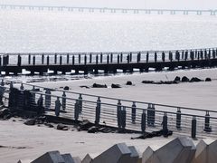 -南汇嘴观海公园