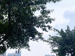 -眉山湿地公园(东坡区)