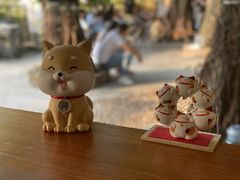 -柴犬高等学院·狗咖·柴犬售卖·宠物训练