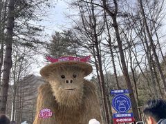 -洛阳白云山景区