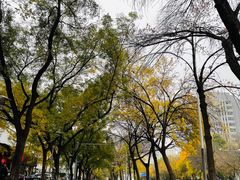 -自贡盐帮菜·玩辣餐厅(樱花园西街店)