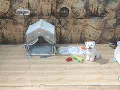 -宠物之家Pets Home 宠物寄养酒店