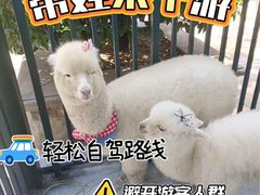 -青岛鑫江温德姆酒店