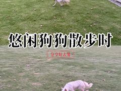 -上海交通大学(闵行校区)