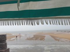 -日照海滨国家森林公园