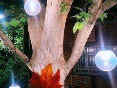 -Ginger(兴国路店)