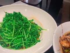 酒香炒豆苗-老头儿油爆虾·知味杭州(爱琴海购物中心)