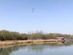 -大兴滨河森林公园