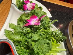 -红运火锅·中国名火锅·国风演绎(省体店)