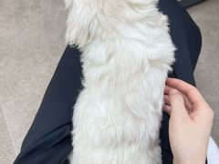 -宠颐生汉谟拉比宠物医院