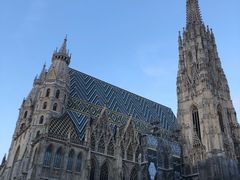-斯蒂芬主教座堂(Stephansdom)