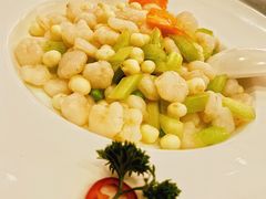 清炒野生河虾仁-圆苑(上海广场店)