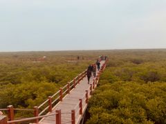 -北海金海湾红树林生态旅游区