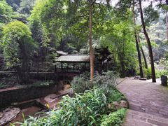 -峨眉山报国寺