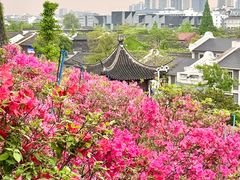 -老门东历史文化街区