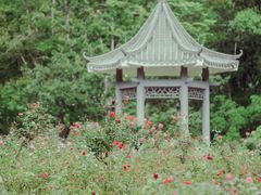 -广州市石门国家森林公园