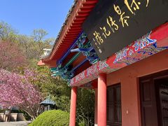 -石岛赤山风景区