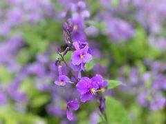 -江苏三台山国家森林公园