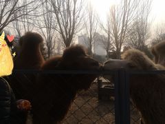 -长白岛森林公园