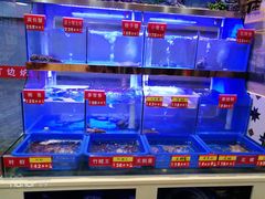-小龍鳳·港式海鲜打边炉(沙湖路店)