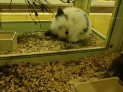 -龙猫仔乐园(惠福东路店)