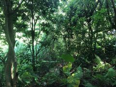 -马峦山郊野公园