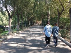 -丁香湖公园